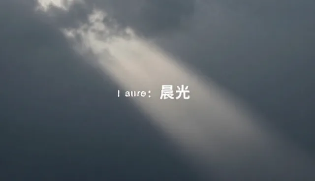 品牌关键词布局在SEO中的实际应用与问题分析
